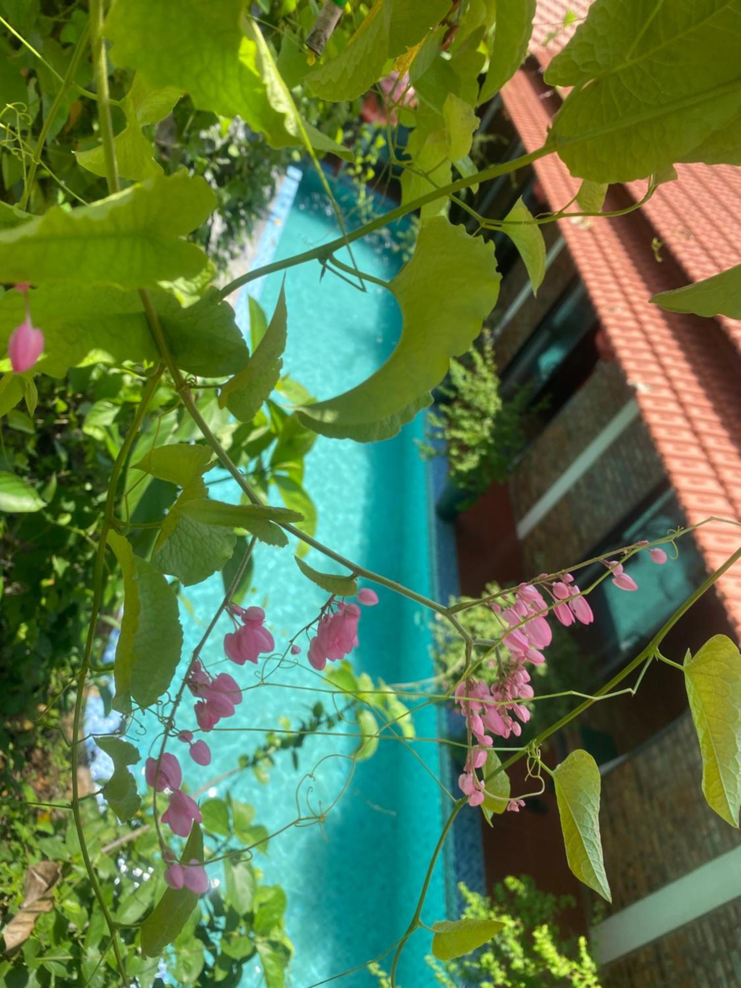 Sunshine Villa Thuy Bieu Хюе Екстер'єр фото